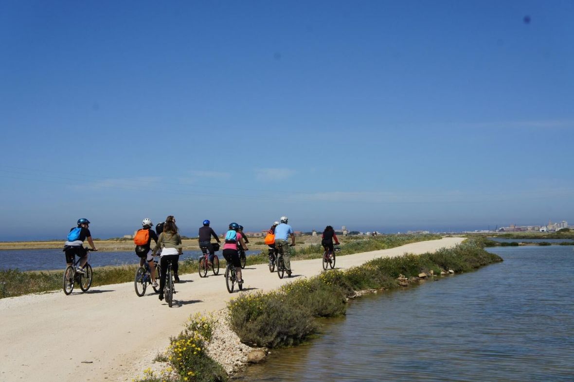 Group of cyclists riding on coastal path in sun