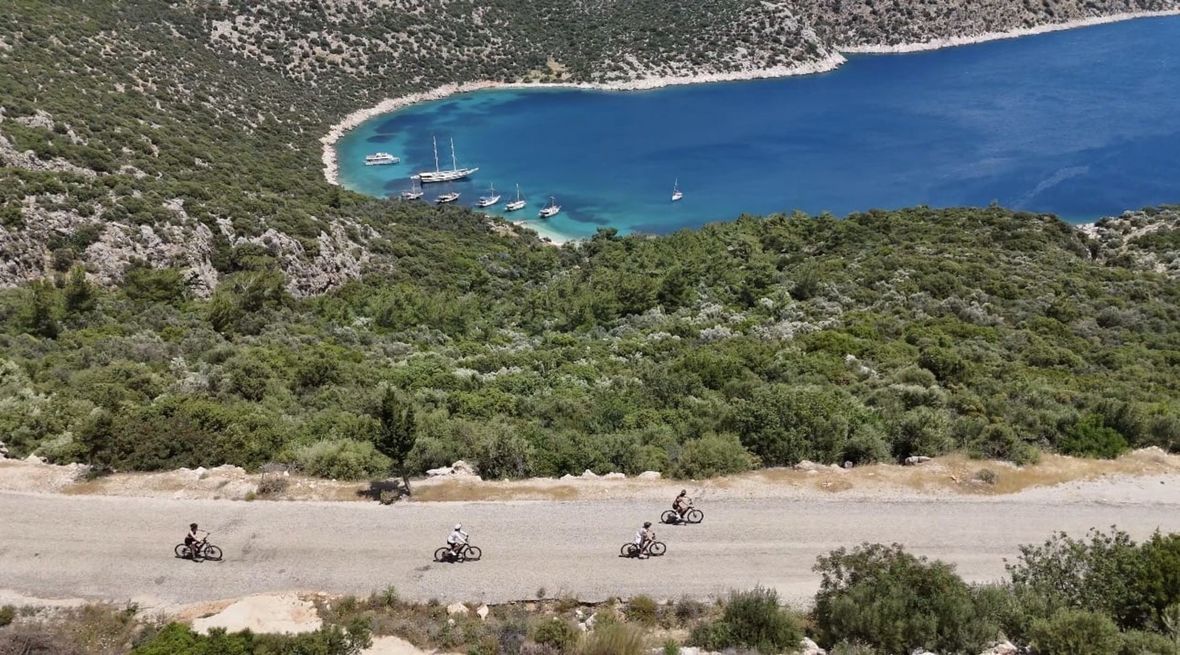 Cyclists riding along a road by the ocean