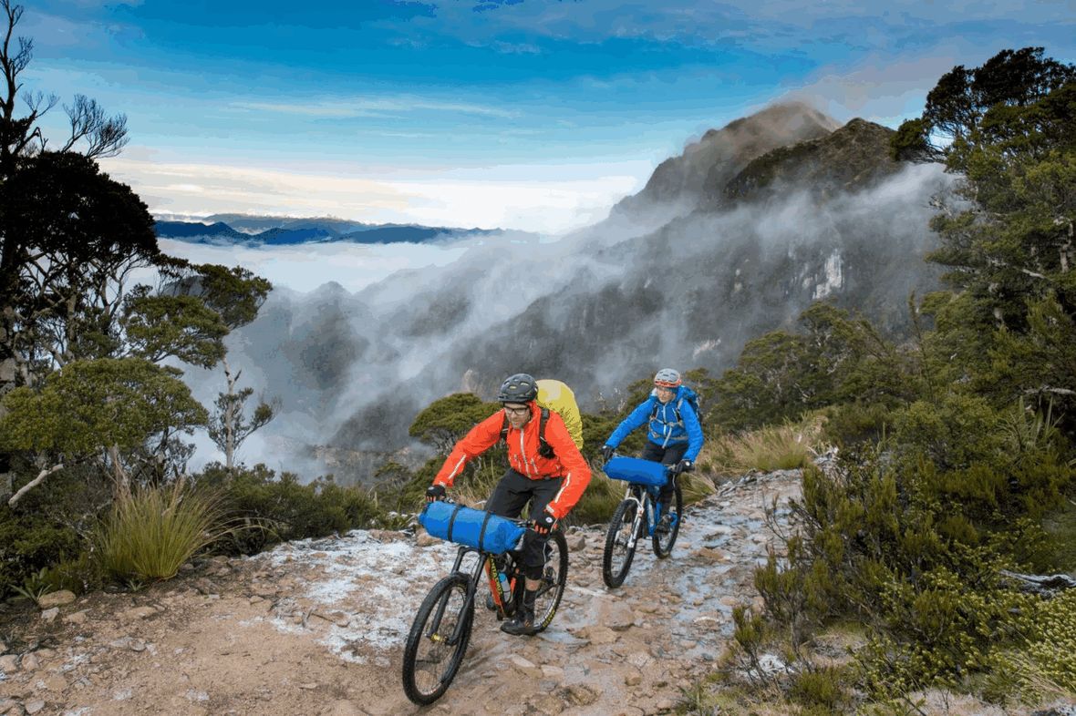 mtb tours nz