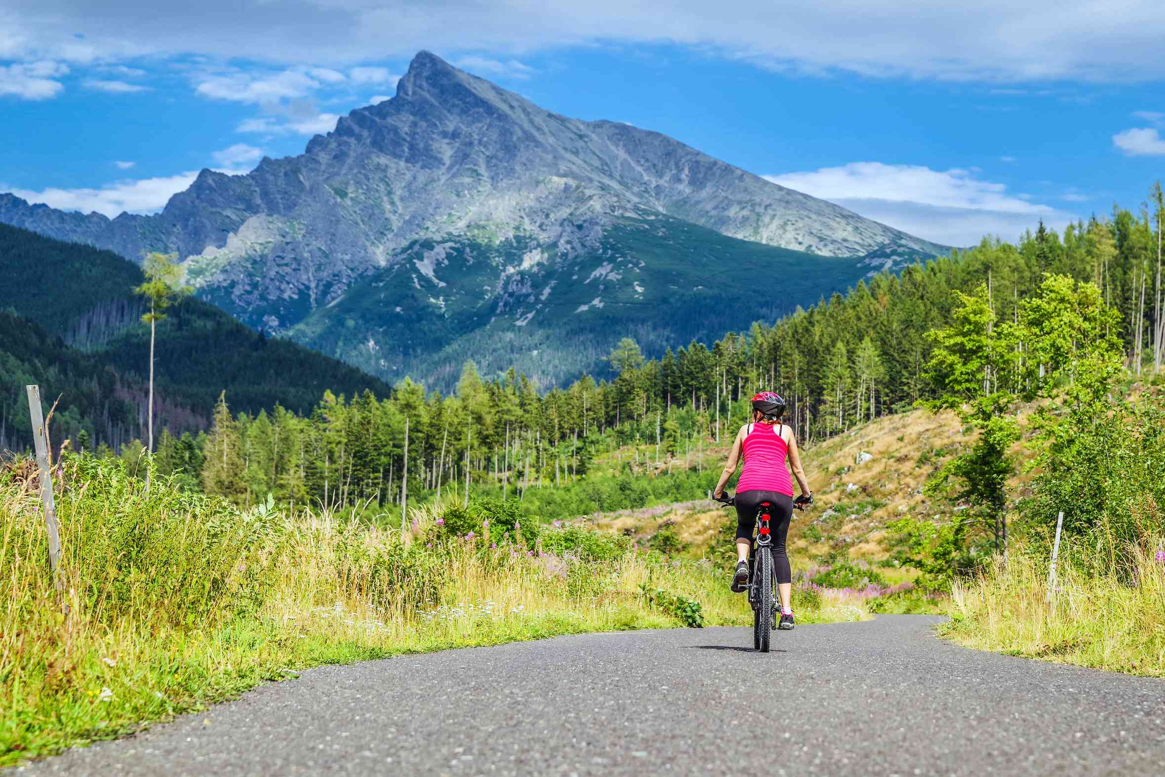 Women's touring online bicycle