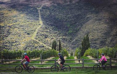 Top 10 Bicycle Day Tours of Australia and New Zealand