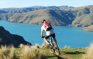 8 Best Multi-Day Cycling Tours in New Zealand