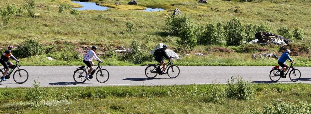 E-bike tour of New Zealand