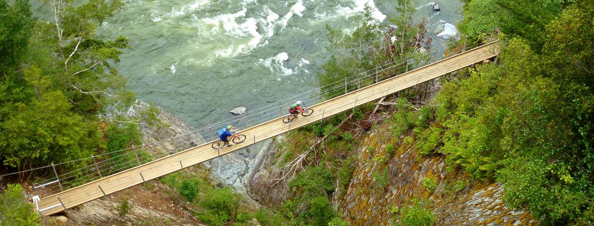 Cyclists riding across a suspension bridge