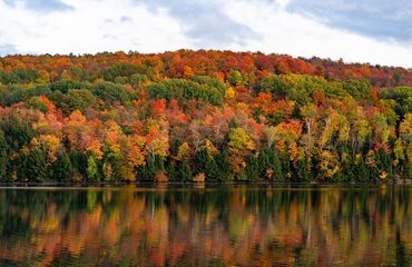 Fall trees on lake