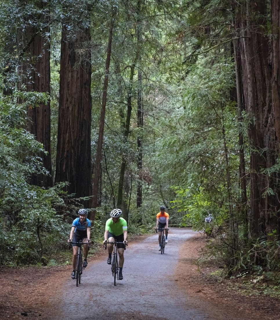 Explore this exceptional area of the USA by bike