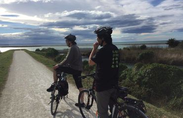 Cyclists riding with sea beyond