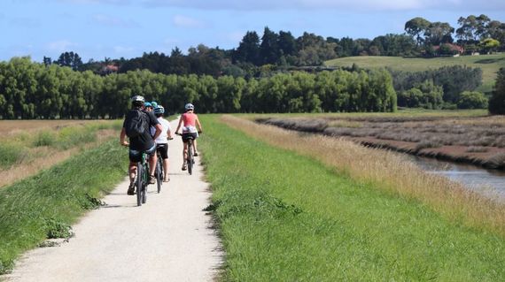 Cycle tour the wonderful landscapes of Hawke's Bay
