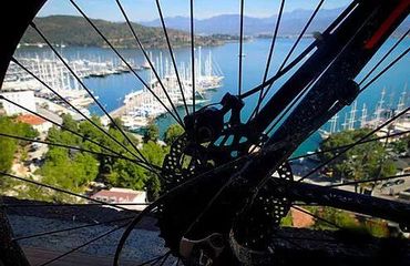 Spokes of a bike wheel with harbour view behind