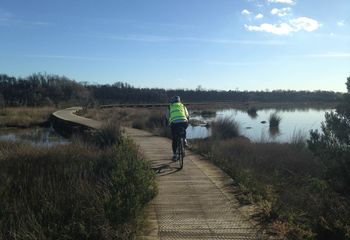 South Gippsland Amazing Rail Trail Highlights