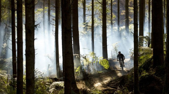 Burn rubber in one of the world's best mountain bike trails