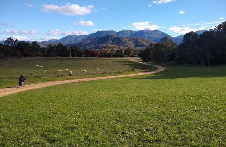 Murray to Mountains Rail Trail Cycling Tour (Small Group Weekends)