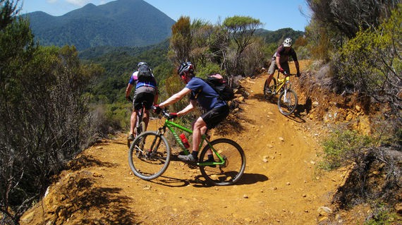 Have a go at New Zealand's famous trails