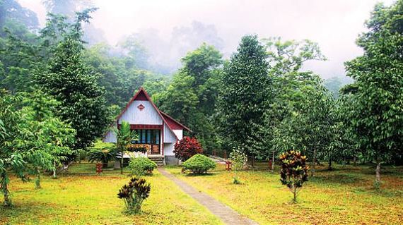 Spend the night close with nature in a guest house nestled in the forest