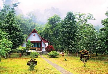 Cuc Phuong National Park Guest House