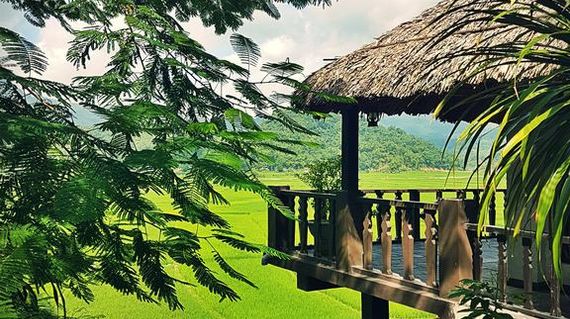 Immerse yourself in the peaceful surroundings of rice paddies and soaring mountains