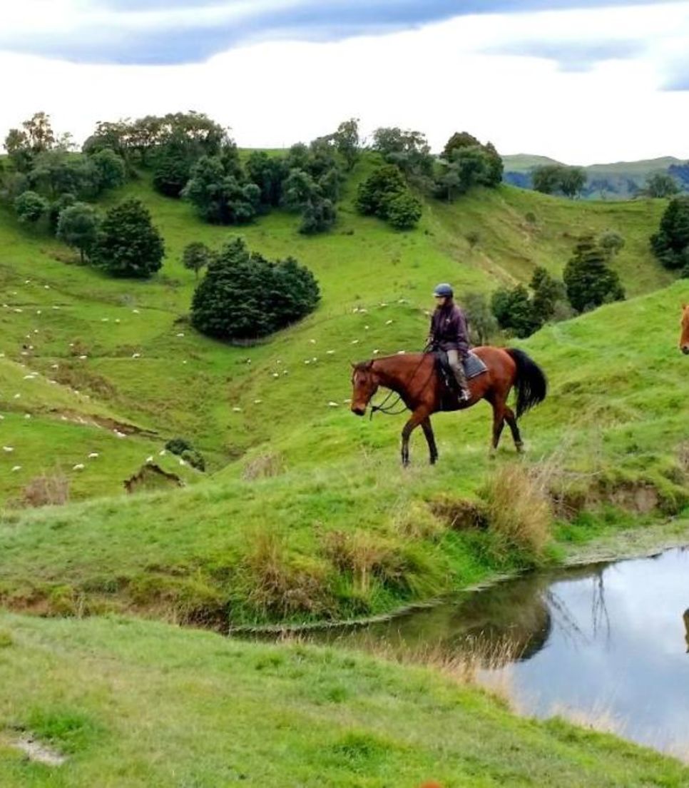 Experience the freedom of riding and venture out in the picturesque countryside