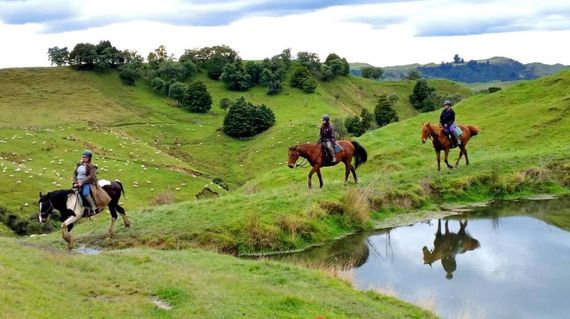 Experience the freedom of riding and venture out in the picturesque countryside