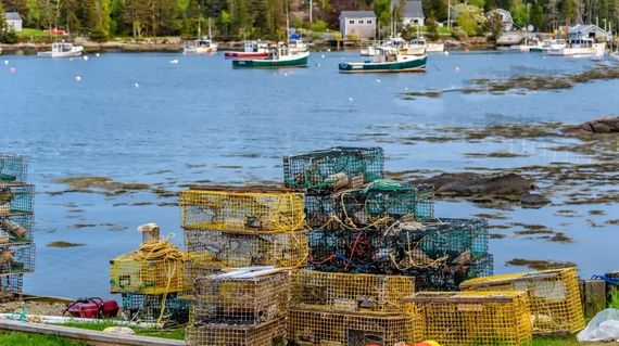 Try the world-famous Maine lobsters and other local food favorites
