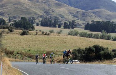 Road cyclists with rural backdrop
