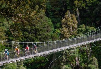 Timber Trail, Waikato and Great Lake Cycle