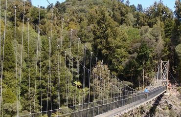 Suspension bridge across a sunny gorge