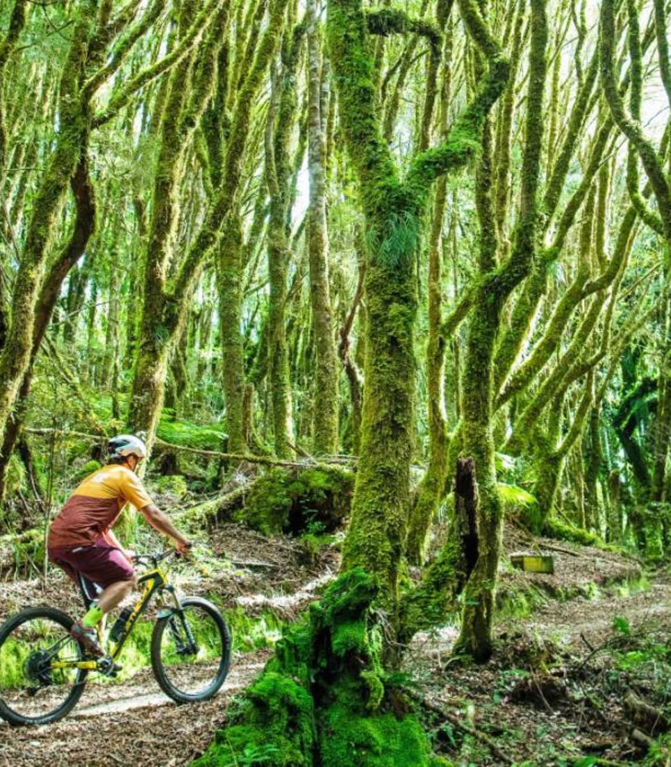 Discover the hidden gems of New Zealand by bike