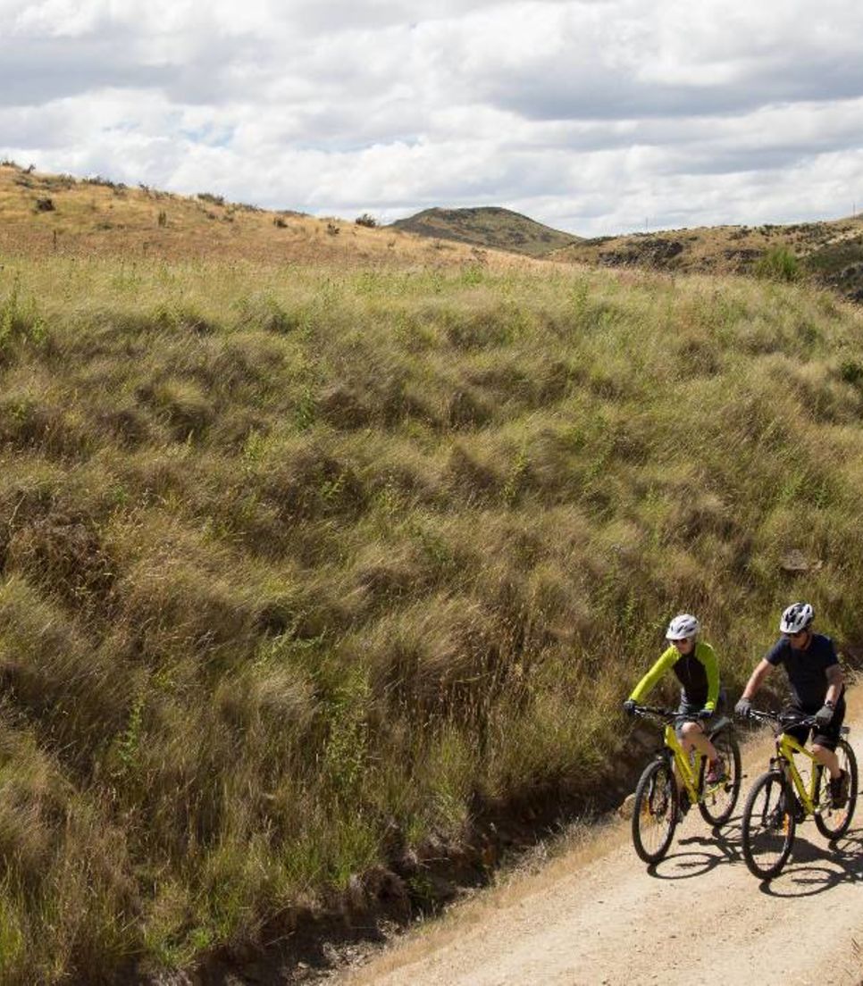 Explore a superb part of the South Island by bike