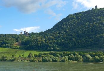 Easygoing Rhine River Cruise E-bike Tour