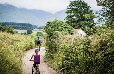 Biking through a rural trail with high hedges