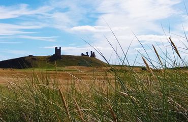 Castle Ruins in rural landscape