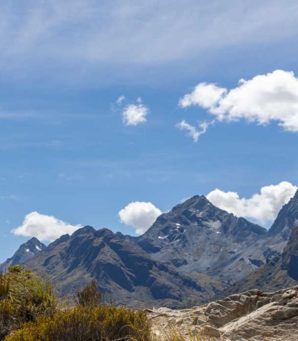 Bike and walk in the natural beauty of New Zealand