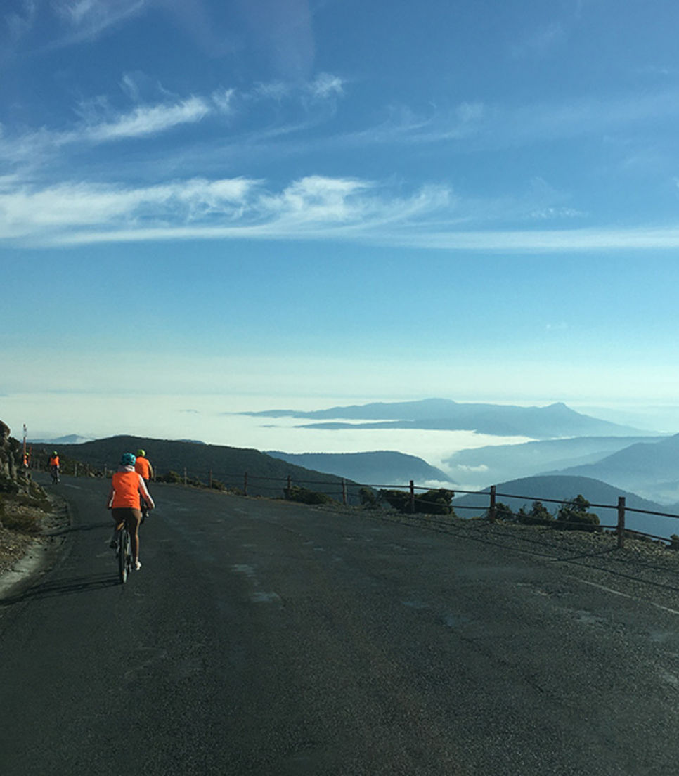 Enjoy the rush of cycling down Mt Wellington/kunanyi from the summit
