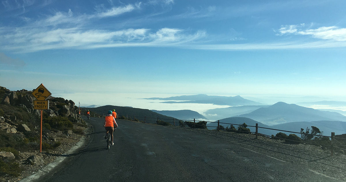 Easy Mt Wellington Mountain Bike Ride Roar Adventures