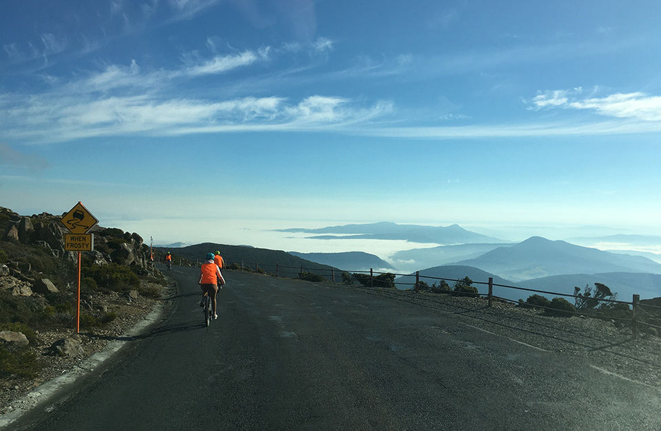 Easy Mt Wellington Mountain Bike Ride 