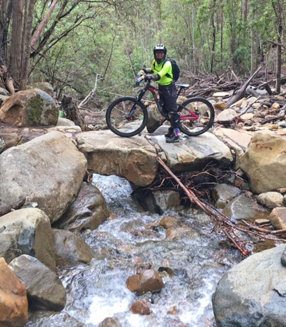 Cycle through lovely natural landscapes on the foothills of kunanyi/Mt Wellington