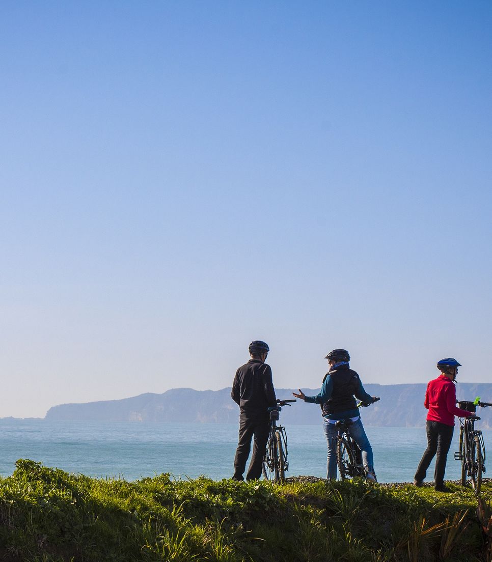 Enjoy a fun day ride around the lovely wineries and scenery of Hawke's Bay