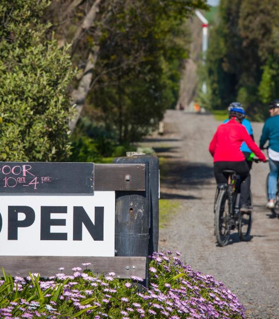 Experience a laid back bike tour of Hawke's Bay