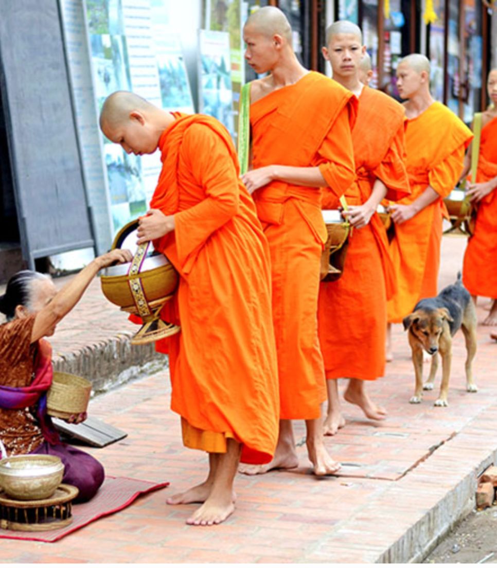Experience the rich culture and diversity of Laos on tour