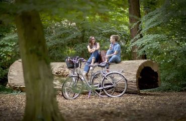 Cyclists taking a break in the forest