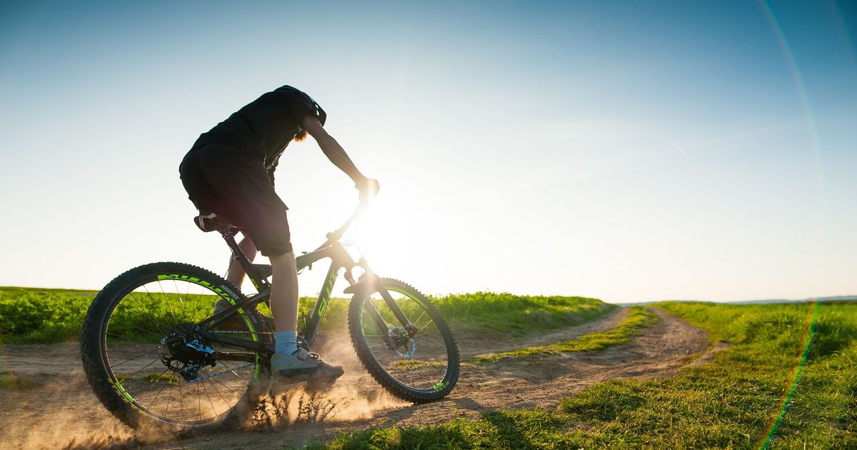 Highlights of Istria MTB | Roar Adventures