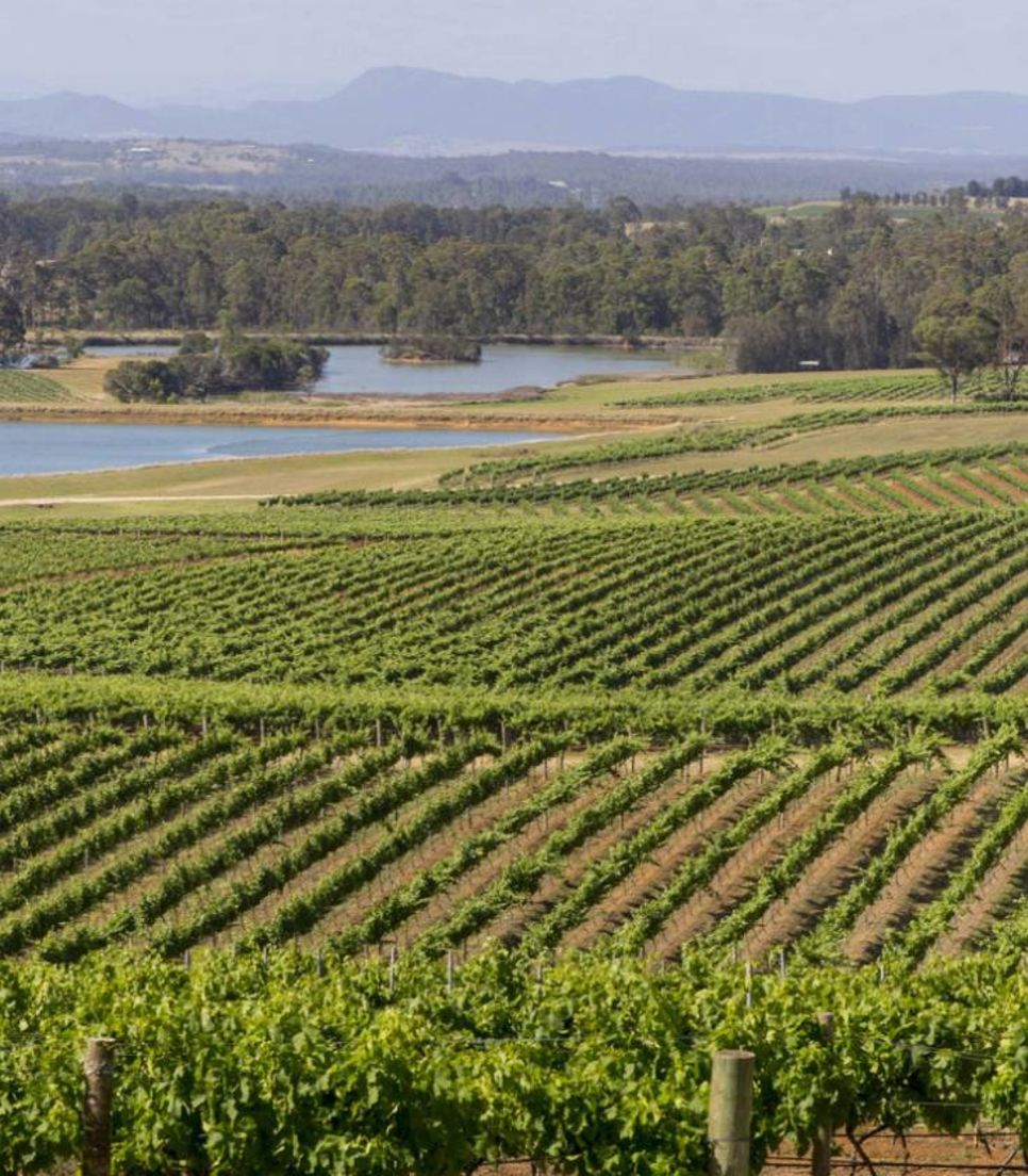 Saddle up and explore the stunning Hunter Valley region on this cycling tour