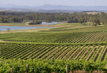 Hunter Valley Explorer Self Guided Cycle