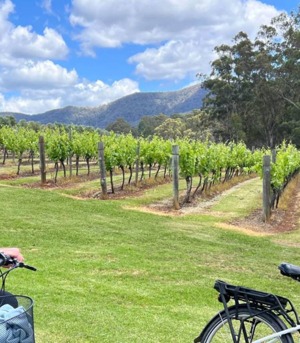 This cycling tour is the perfect way to get active and immerse yourself in the natural splendor of Hunter Valley