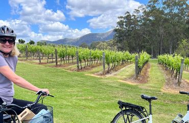 Cyclist by a vineyard