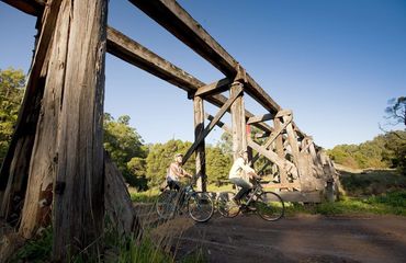 Cyclists under an old bridge