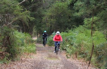 Cycling on dirt trails