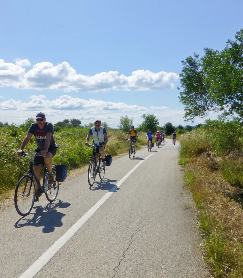 Enjoying the scenic countryside of Istria on a cycling adventure