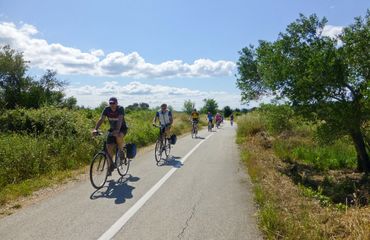 Cyclists on a road