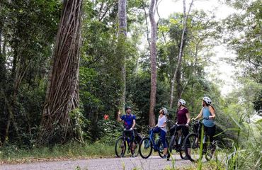 Group of cyclists with guide in the forest